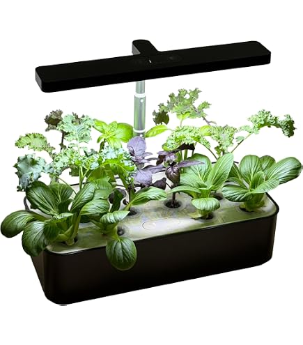 Amazon.co.jp: U-ING GreenFarmCube 水耕栽培器 ホワイト: DIY・工具